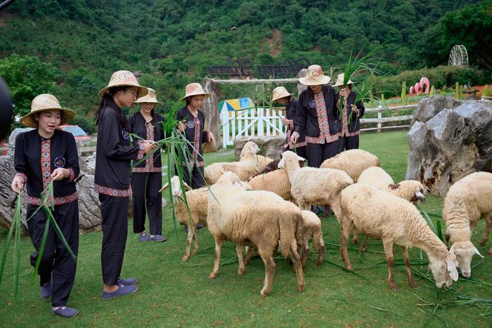 Các hoạt động trải nghiệm thử thách bên ngoài sân khấu cho thí sinh. (Ảnh: CTV/Vietnam+)