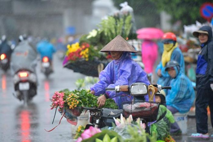 Khu vực Bắc Bộ có mưa rào, rải rác có dông, cục bộ có nơi mưa to.