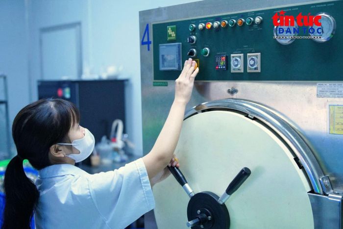 Kỹ thuật viên thao tác trong tủ cấy vô trùng, thực hiện phân tách và nhân giống dứa MD2 bằng phương pháp nuôi cấy mô.