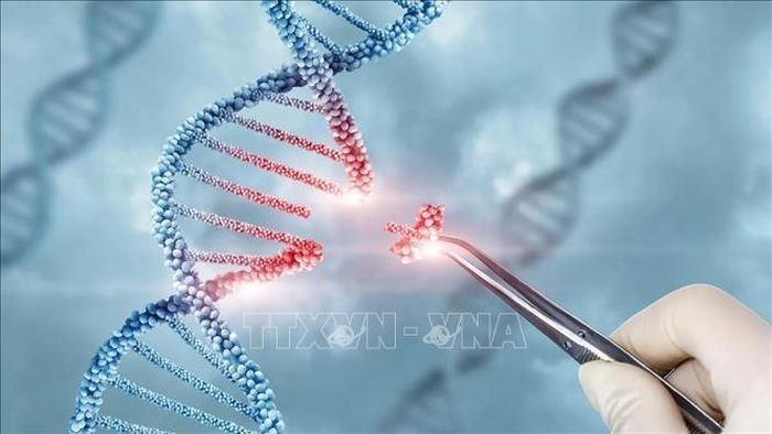 Hình ảnh minh họa công nghệ chỉnh sửa gene CRISPR. Ảnh: Getty Images/TTXVN