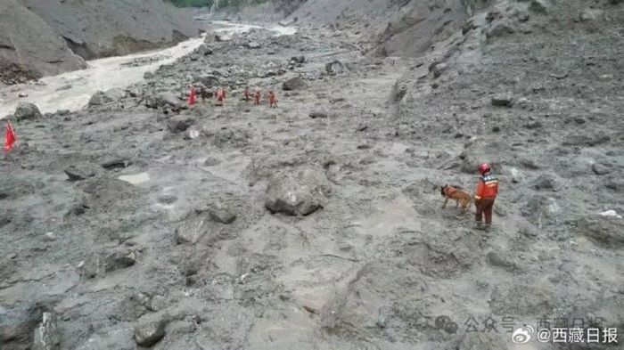 Nhân viên cứu hộ sử dụng chó để tìm kiếm dấu vết nạn nhân trên bãi bùn đá. Ảnh: NBTT.