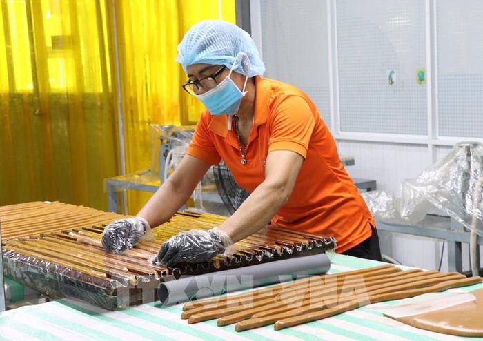 Công nhân Công ty TNHH Chế biến dừa sáp Cầu Kè (Vicosap), xã Tam Ngãi, tỉnh Vĩnh Long chế biến các sản phẩm từ dừa sáp. Ảnh: Thanh Hòa - TTXVN