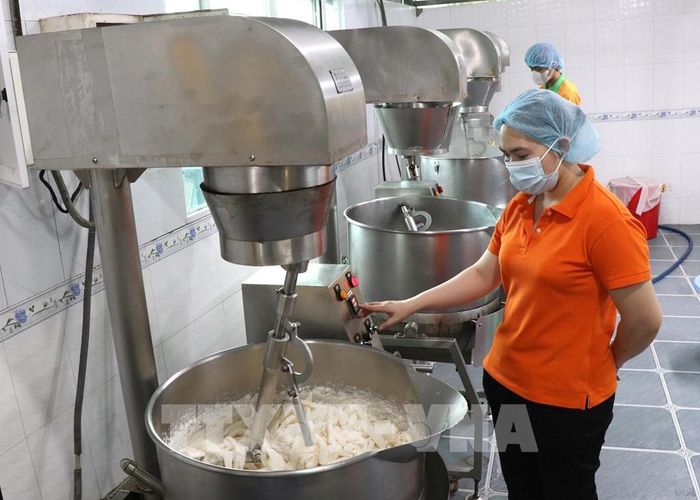 Công nhân Công ty TNHH Chế biến dừa sáp Cầu Kè (Vicosap), xã Tam Ngãi, tỉnh Vĩnh Long chế biến các sản phẩm từ dừa sáp. Ảnh: Thanh Hòa-TTXVN