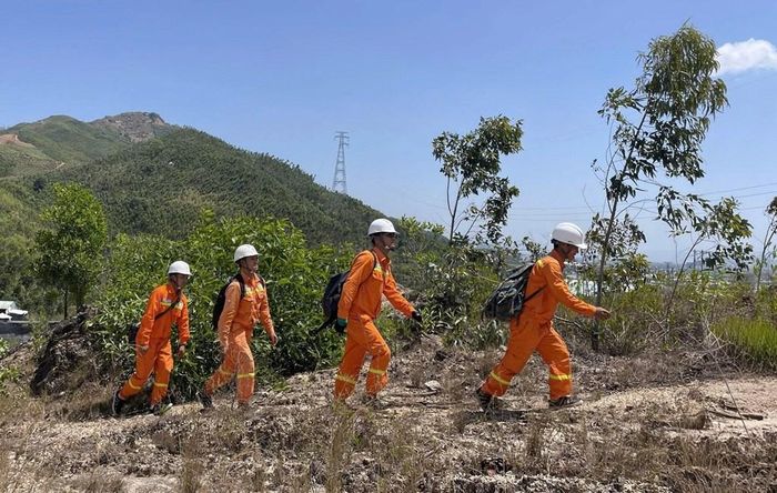 Công nhân quản lý vận hành đường dây tăng cường kiểm tra tuyến, rà soát các vị trí xung yếu. Ảnh: PTC3