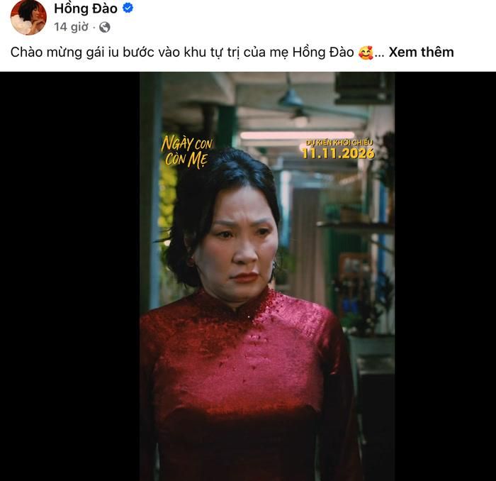 Hồng Đào chia sẻ. Ảnh: Chụp màn hình FBNV
