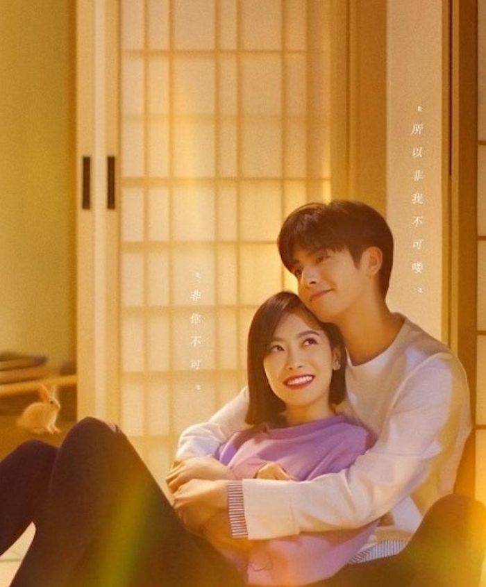 Tống Thiến và Tống Uy Long đảm nhận vai chính trong Trạm Kế Tiếp Là Hạnh Phúc, câu chuyện xoay quanh mối tình chị em có khoảng cách tuổi tác. Hạ Phồn Tinh là người phụ nữ thành đạt 32 tuổi nhưng chưa từng trải qua một mối tình thực sự. Cuộc sống của cô thay đổi khi gặp Nguyên Tống, chàng thực tập sinh trẻ tuổi tại công ty. Tình cảm giữa hai người phải đối mặt với khoảng cách 10 tuổi, những định kiến và nhiều hiểu lầm. Sự xuất hiện của Diệp Lộc Minh, một người đàn ông trưởng thành và chín chắn, càng khiến lựa chọn tình cảm của Hạ Phồn Tinh trở nên phức tạp.