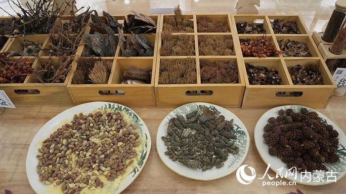 Các vật liệu dùng để làm tranh từ quả thông được trưng bày tại bảo tàng nghệ thuật. Ảnh: People's Daily Online/Liu Yilin