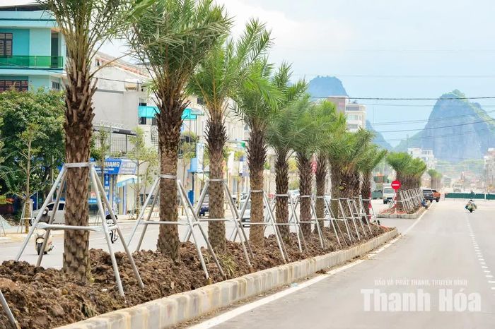 Theo đó, dải phân cách cứng giữa đường đã hình thành, một số vị trí đã được trồng cây xanh, kẻ vạch đường.