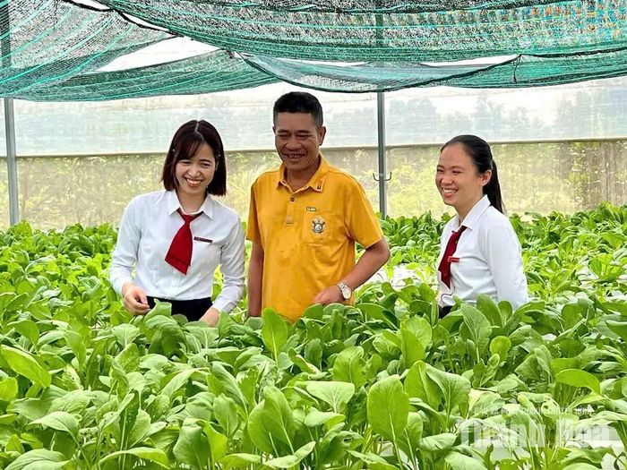Từ nguồn vốn tín dụng của các chi nhánh Agribank đã góp phần xây dựng các mô hình nông nghiệp công nghệ cao, mang lại hiệu quả kinh tế khá.