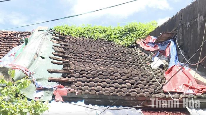 ...và tìm đủ cách che chắn, chắp vá để giữ lấy mái nhà của mình.