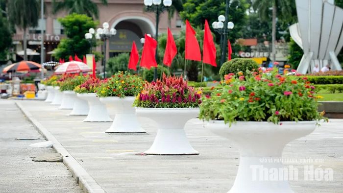 Các chậu hoa tươi rực rỡ sắc màu cùng hàng hồng kỳ được bố trí ngay ngắn tại khu vực công cộng.