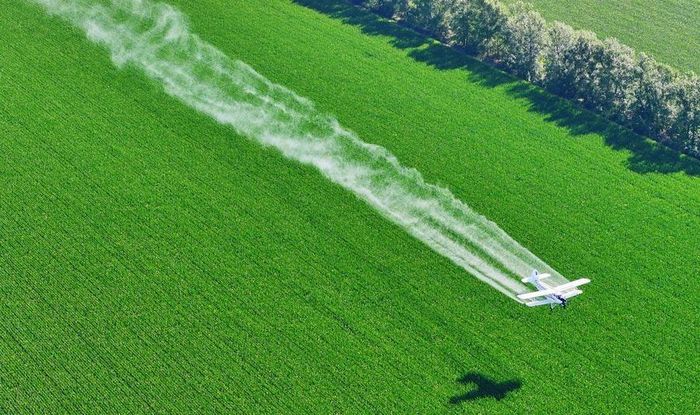 Một máy bay nông nghiệp thực hiện phun thuốc bảo vệ cây trồng trên cánh đồng ngô của Tập đoàn Beidahuang, tỉnh Hắc Long Giang, Đông Bắc Trung Quốc. Ảnh: Xinhua