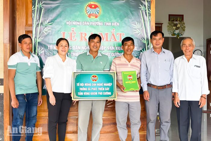 Trao quyết định thành lập Tổ hội Nông dân nghề nghiệp Trồng và phát triển cây tầm vông khóm Phú Cường.