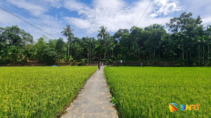 Không gian trình diễn trang phục mo cau tại Hội làng Lộc Yên. Ảnh: D.LỆ