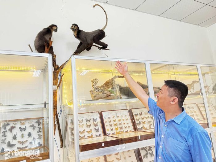 Nhiều tiêu bản động vật quý hiếm được trưng bày tại phòng tiêu bản động vật thuộc Khu Bảo tồn thiên nhiên - văn hóa Đồng Nai.