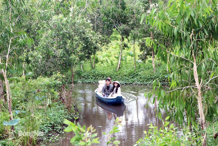 Du khách khám phá rừng tràm trên xuồng do người dân địa phương cung cấp dịch vụ.