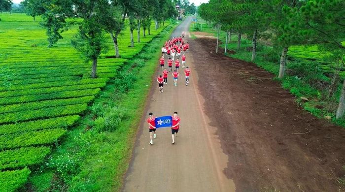  Cung đường tại đồi chè Biển Hồ là địa điểm hút khách trong dịp lễ sắp tới. Ảnh: Hoàng Khôi 