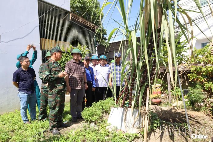Đoàn tiến hành khảo sát tại khu vực hẻm 77 đường Nguyễn Chích.