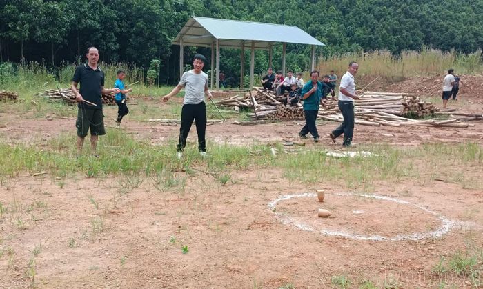 Các môn thi đấu tại giải thể thao.