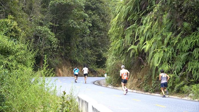 Các vận động viên chinh phục cung đường chạy giữa những thửa ruộng bậc thang và rừng già Y Tý.