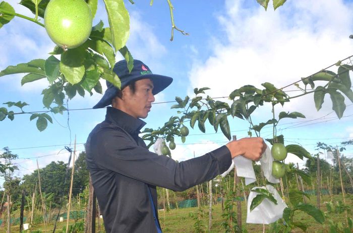 Xã Nhân Cơ chú trọng hướng dẫn kiểm tra từ khâu sản xuất