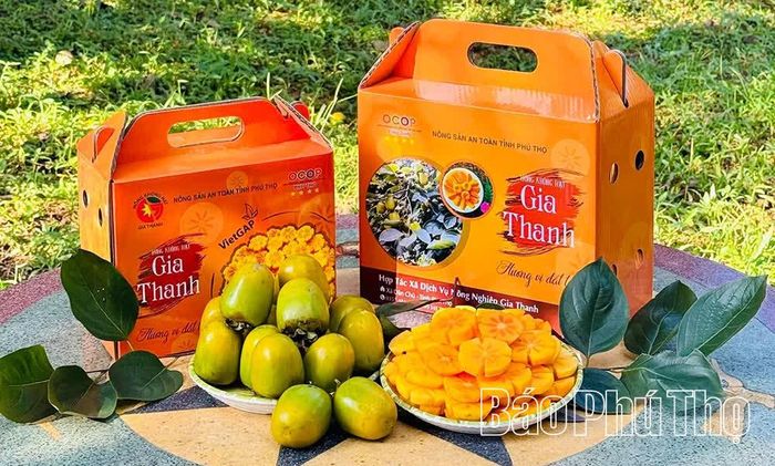 Hồng Gia Thanh được đóng trong bao bì bắt mắt.