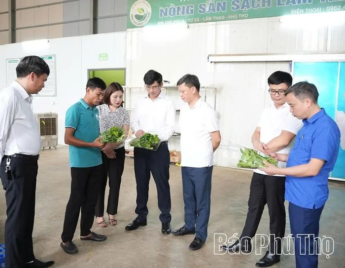 Lãnh đạo xã Phùng Nguyên thăm mô hình sản xuất, kinh doanh của Hợp tác xã Sản xuất và kinh doanh nông sản sạch Lâm Thao.