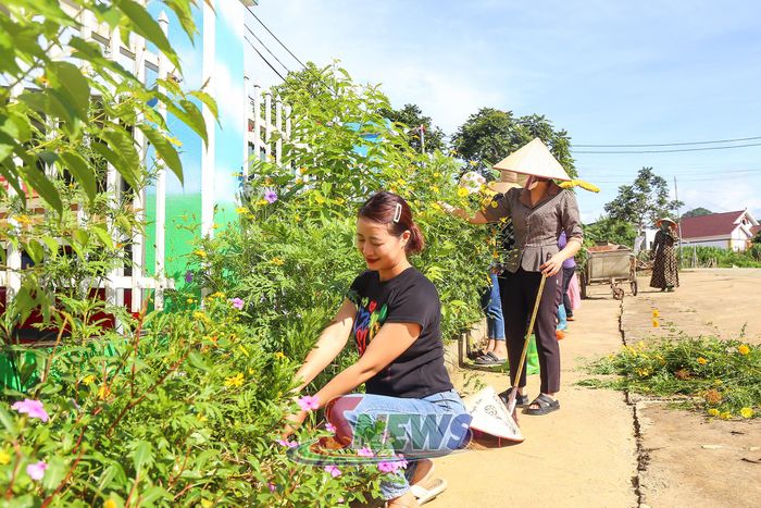 Giáo viên Trường Mầm non Vân Hồ chỉnh trang khuôn viên nhà trường.