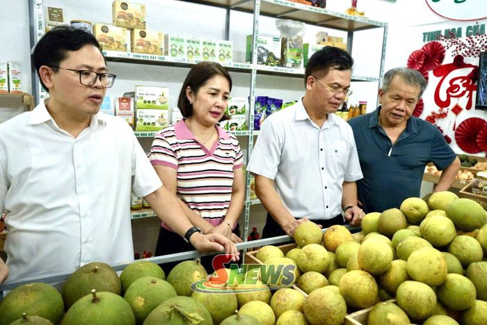 Sản phẩm nông nghiệp hữu cơ, tuần hoàn gắn với liên kết chuỗi giá trị tại cửa hàng hữu cơ Quế Lâm.