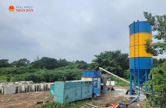 Một khu đất trống trên địa bàn phường Bình Lợi Trung. Ảnh: Quang Phương