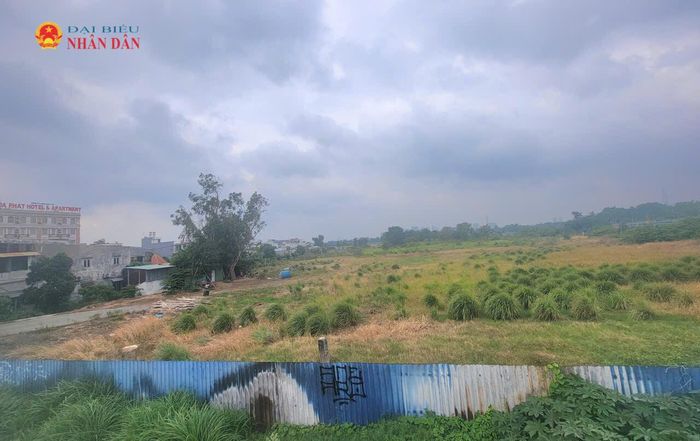 Một khu đất trống trên địa bàn phường Thủ Đức. Ảnh: Quang Phương
