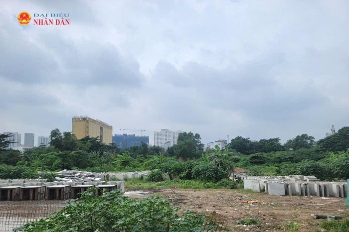 Một khu đất trống trên địa bàn phường Bình Lợi Trung. Ảnh: Quang Phương