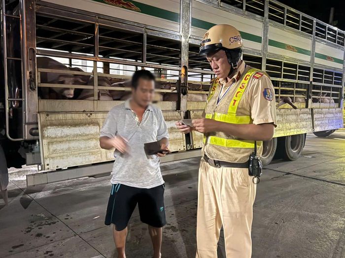 Vừa qua, Đội Cảnh sát giao thông Rạch Chiếc (PC08 - Công an TP. Hồ Chí Minh) đã kiểm tra và phát hiện 2 xe tải chở heo dương tính chất cấm Salbutamol vào địa bàn thành phố