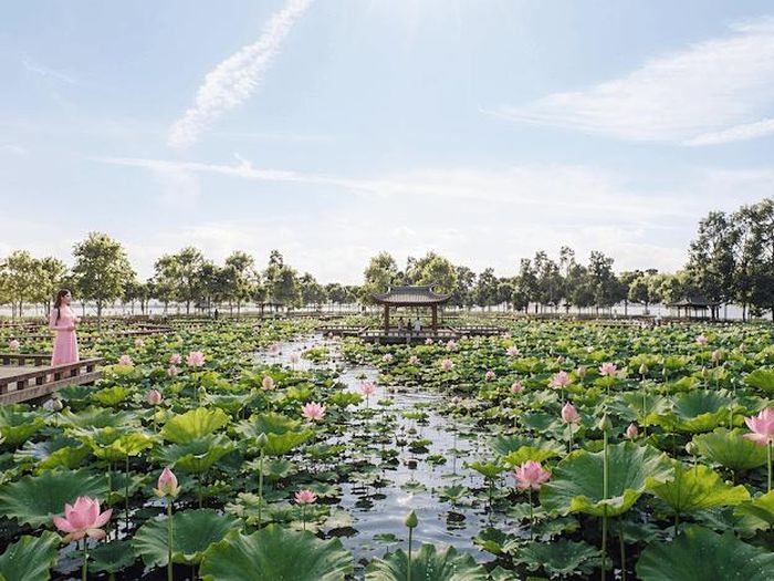 Các công viên hoa sẽ mở thêm không gian công cộng cho cộng đồng, gắn kết hài hòa với giá trị văn hóa lịch sử của Hồ Tây