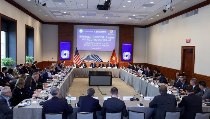 Phát biểu đề dẫn tại toạ đàm, Phó Thủ tướng khẳng định Việt Nam sẽ tiếp tục hoàn thiện thể chế để đảm bảo thông thoáng, nâng cao chất lượng môi trường đầu tư, phát triển hạ tầng đồng bộ và nguồn nhân lực chất lượng cao. Ảnh: chinhphu.vn.