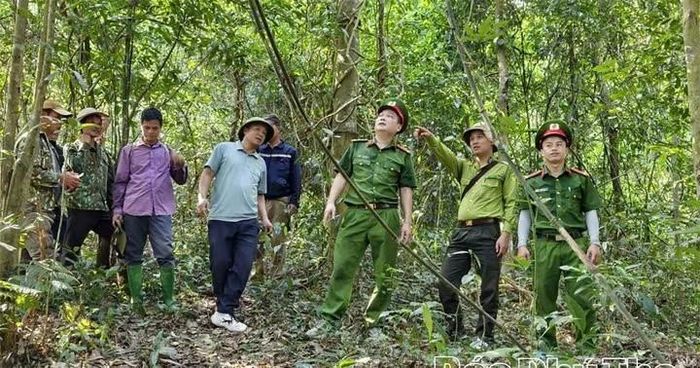 Đoàn kiểm tra rà soát phương án, lực lượng và phương tiện sẵn sàng ứng phó khi xảy ra cháy rừng. (Ảnh minh hoạ)