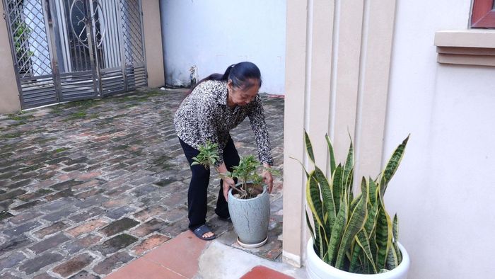 Bà Quách Thị Chiến chủ động kiểm tra, loại bỏ nước đọng trong các chậu cây, vật dụng quanh nhà để phòng sốt xuất huyết. Ảnh: Đỗ Duẩn