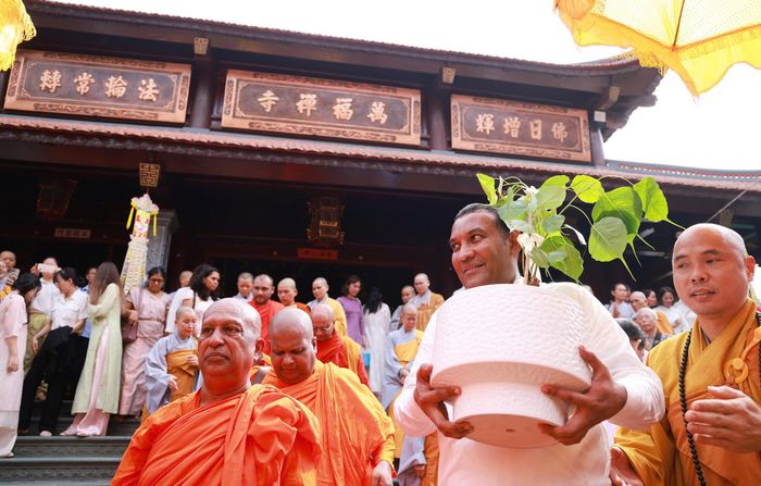 Phái đoàn chư tăng và Bộ Tôn giáo - Văn hóa Sri Lanka trao tặng Thánh tích cội Bồ Đề cho chùa Vạn Phúc, xã Sóc Sơn, Hà Nội. Ảnh: Văn Tuyến