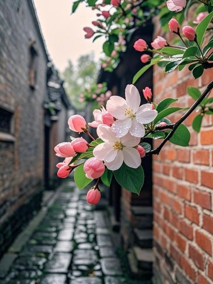 Không chỉ công việc, đường tình duyên và gia đình của người sinh ngày 9 Âm lịch cũng được dự đoán tương đối thuận hòa. Ảnh minh họa