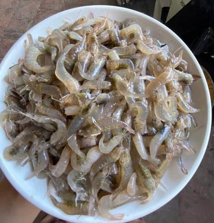 Lá lốt và tôm đồng đều là những nguyên liệu có giá trị dinh dưỡng cao. Ảnh: HM