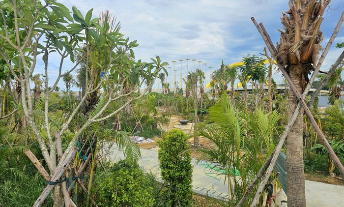 Phía trong bờ, nhiều hàng cây và các loại hoa được trồng, tạo thành những mảng xanh với nhiều tầng cao thấp khác nhau. Ảnh: H.D.