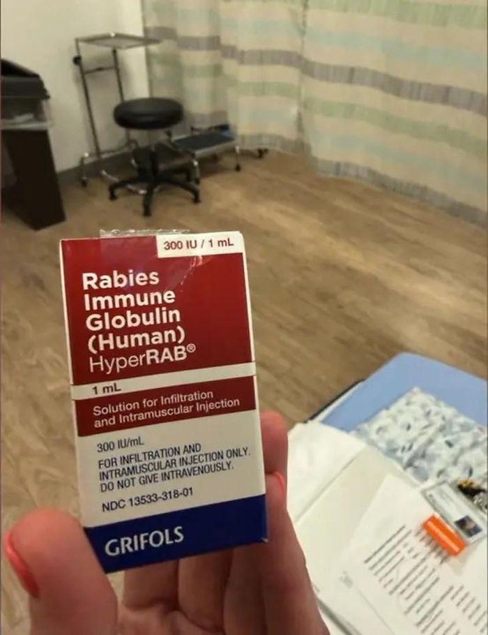 Krista phải nhập viện để tiến hành tiêm huyết thanh kháng dại cùng các đợt tiêm vaccine phòng dại. Ảnh: Krista Edelman/Instagram