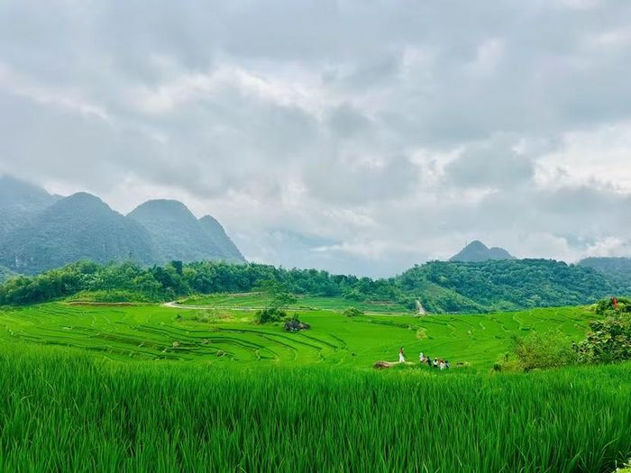 Quản trị hệ thống du lịch dựa trên đánh giá năng lực phát triển điểm đến du lịch gắn với các tiêu chí về khách du lịch, tổng thu, mức chi tiêu, thời gian lưu trú, chất lượng điểm đến, an toàn, môi trường, chuyển đổi số và mức độ hài lòng của du khách