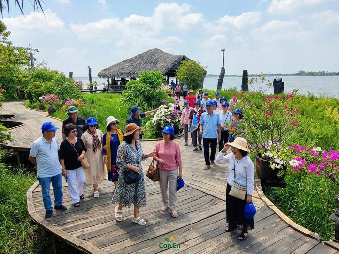 Du khách tham quan, trải nghiệm không gian sinh thái tại Khu du lịch sinh thái Cồn Én. (Ảnh: Nguyễn Ngọc).