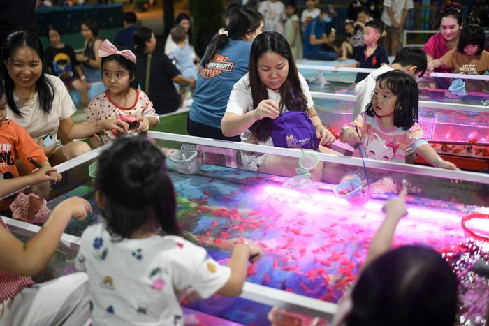 Gần 30 trò chơi đang hoạt động tại Đầm Sen, phần lớn phù hợp với trẻ em và các gia đình có con nhỏ. Trong đó, một số trò cảm giác mạnh như thảm bay, ếch nhảy... có áp dụng quy định về chiều cao tối thiểu nhằm đảm bảo an toàn cho người tham gia.