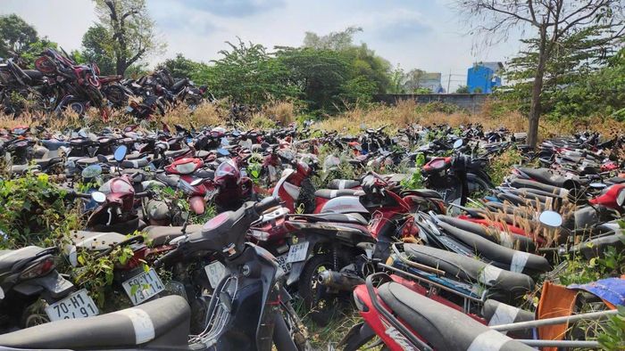 Lô tài sản này là tang vật vi phạm hành chính bị tịch thu, được xác lập quyền sở hữu toàn dân. Ảnh: Công an TP.HCM.