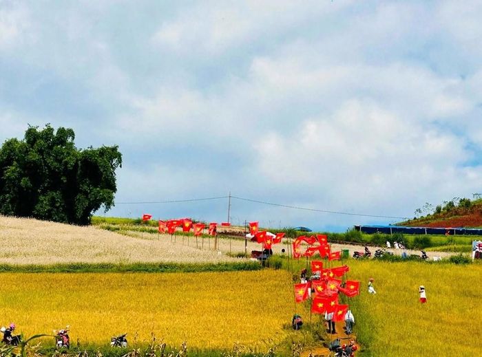 Tuyến đường cờ được dựng giữa khung cảnh thảo nguyên đang vào mùa lúa chín. Sắc đỏ của những lá cờ Tổ quốc nổi bật giữa màu vàng của đồng lúa và không gian xanh của núi rừng, tạo nên hình ảnh ấn tượng nơi vùng cao biên giới