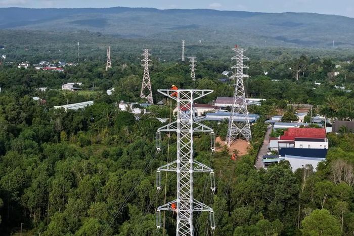Đường dây 110  kV Phú Quốc - Bắc Phú Quốc có tổng mức đầu tư gần 353 tỷ đồng, đóng điện ngày 28/8/2026; công trình có quy mô 2x20,7 km và 75 vị trí trụ - Ảnh: EVNSPC