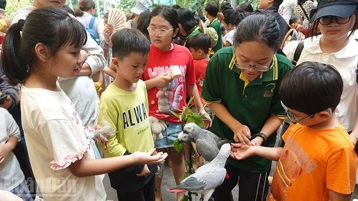 Các em thiếu nhi thích thú khi được giao lưu với thần tượng vẹt xám trong buổi gặp gỡ "thần tượng" sáng 30/8. (Ảnh: Linh Bảo)