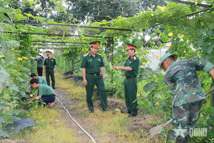 Vườn tăng gia ở Kho J250 bảo đảm rau, củ, quả.